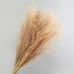 30pcs Natural Dried Pampas Grass Bouquet Pampas Grass Reeds Flowers Bulrush Bouquets Durable For for Vase Artificial Grass Room Décor Wedding Decorations
