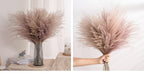 30pcs Natural Dried Pampas Grass Bouquet Pampas Grass Reeds Flowers Bulrush Bouquets Durable For for Vase Artificial Grass Room Décor Wedding Decorations
