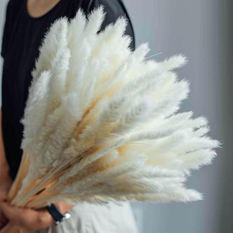30pcs Natural Dried Pampas Grass Bouquet Pampas Grass Reeds Flowers Bulrush Bouquets Durable For for Vase Artificial Grass Room Décor Wedding Decorations
