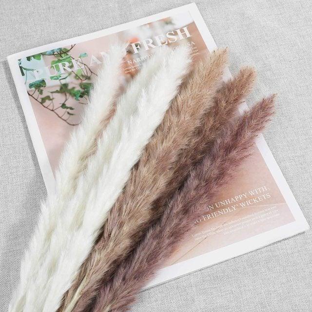 30pcs Natural Dried Pampas Grass Bouquet Pampas Grass Reeds Flowers Bulrush Bouquets Durable For for Vase Artificial Grass Room Décor Wedding Decorations