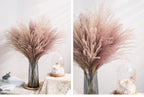 30pcs Natural Dried Pampas Grass Bouquet Pampas Grass Reeds Flowers Bulrush Bouquets Durable For for Vase Artificial Grass Room Décor Wedding Decorations