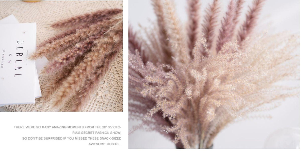 30pcs Natural Dried Pampas Grass Bouquet Pampas Grass Reeds Flowers Bulrush Bouquets Durable For for Vase Artificial Grass Room Décor Wedding Decorations