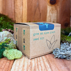 Grow an Aloe Plant Seed Kit